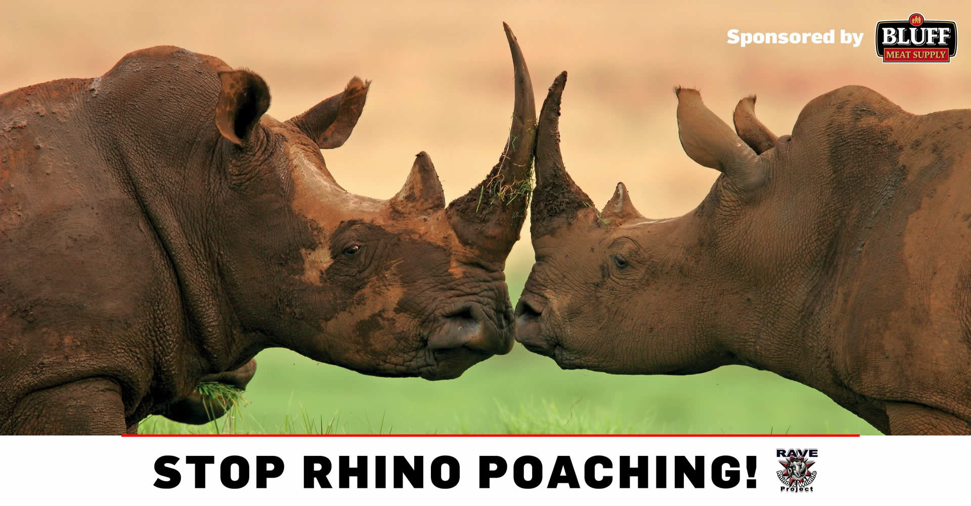 Rave Rhino and Wildlife Project NPC