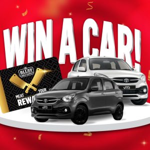 WIN-A-CAR 2026